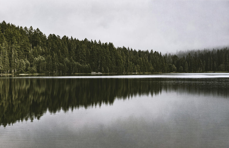 Photo by eberhard grossgasteiger: https://www.pexels.com/photo/calm-body-of-water-beside-forest-629162/